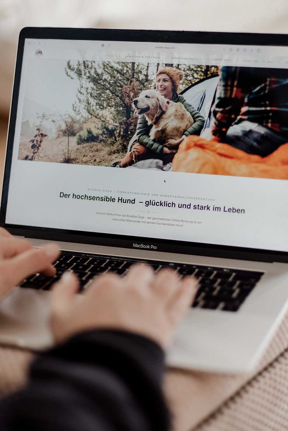 Webdesign Hundeschule Hundetraining Köln Bonn Grafikdesign Artista Vivente Maike Czychi Fotografie Design